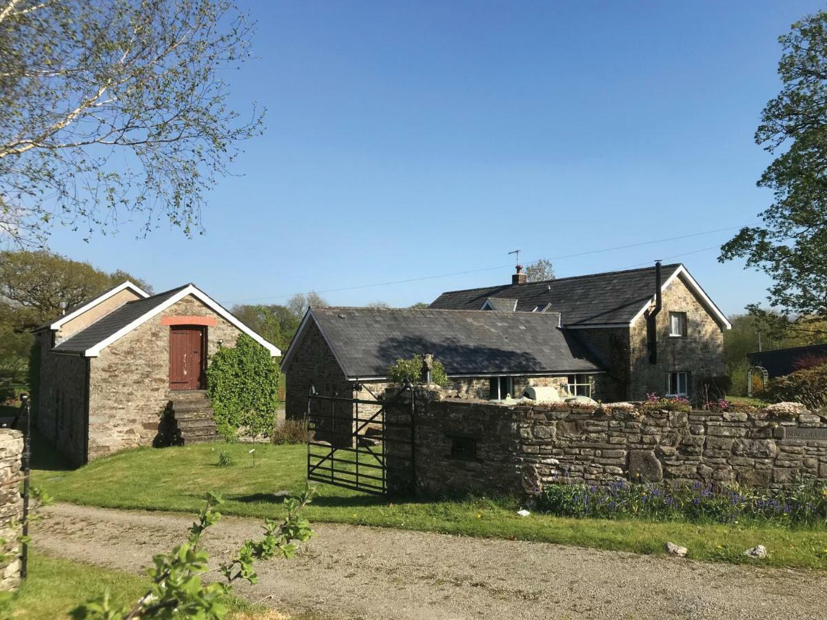 Maesyfelin Isaf B&B Llanybyther Exterior photo